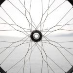 Pola jari-jari snowflake